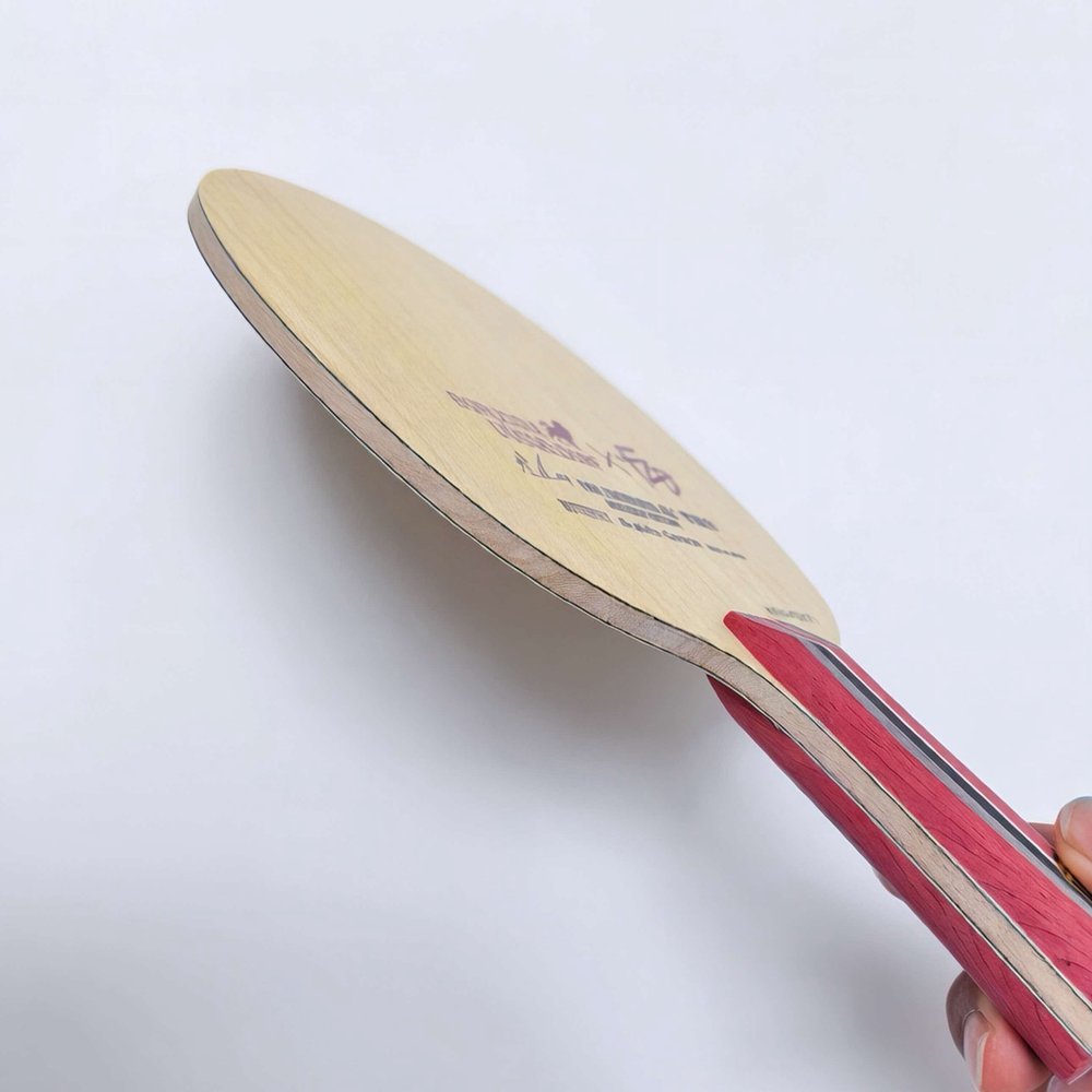 Fan ZD Golden Logo Rakietka do – Table Tennis Custom Bat recenzja i cena